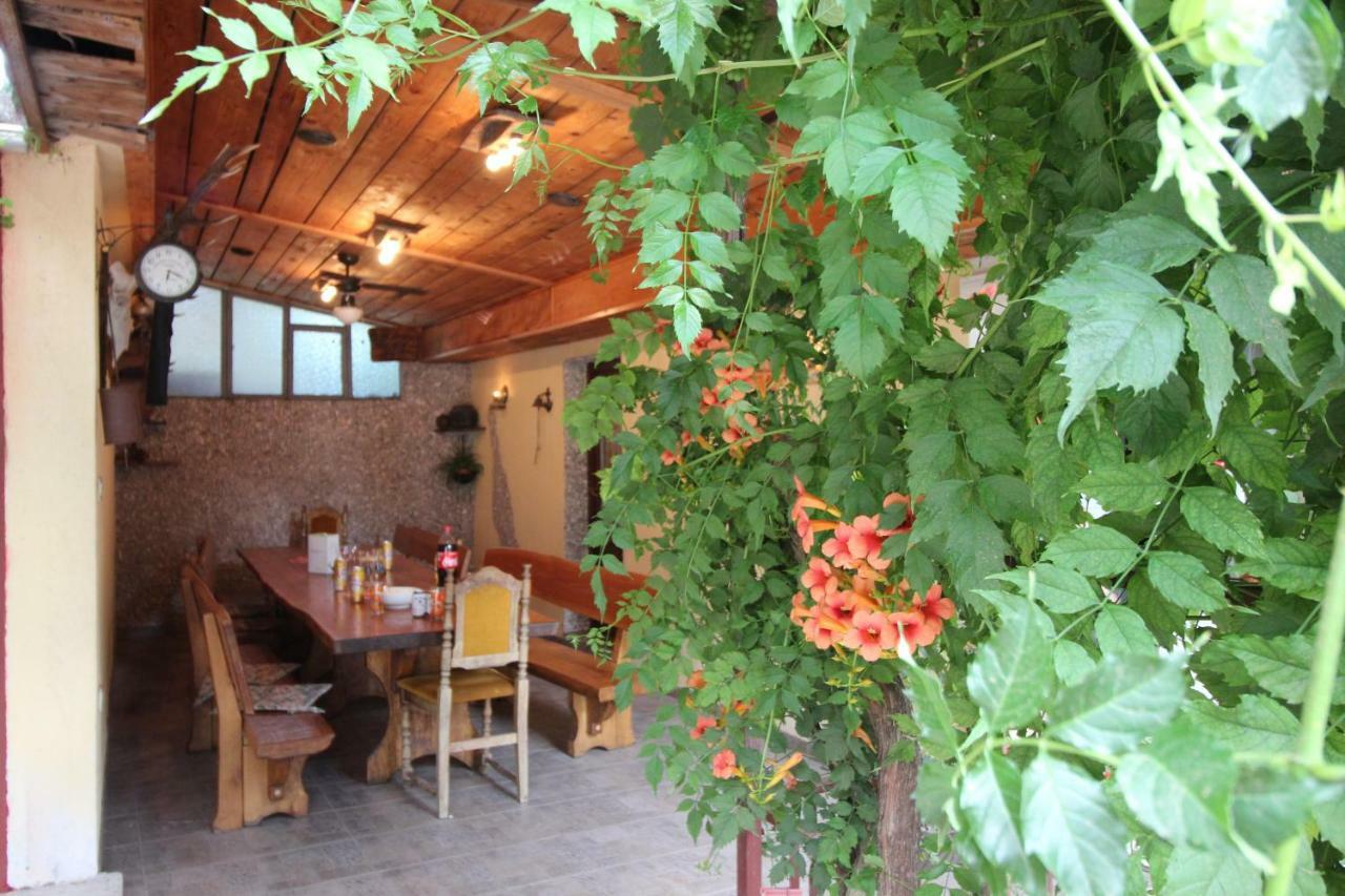 Apartmani Irena Novi Vinodolski Luaran gambar